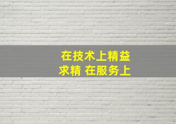 在技术上精益求精 在服务上